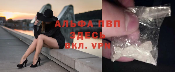 гидра Абаза