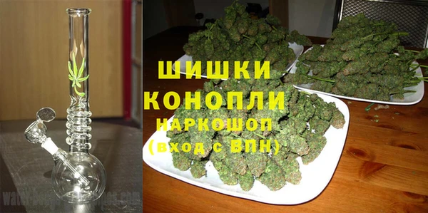 гидра Абаза