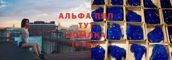 гидра Абаза